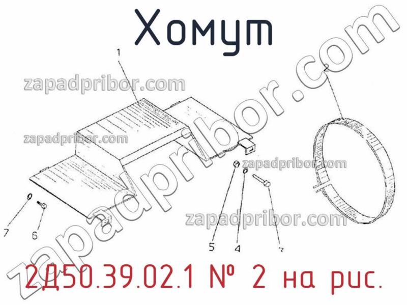 Хомут 2Д50.39.02.1 фотография.