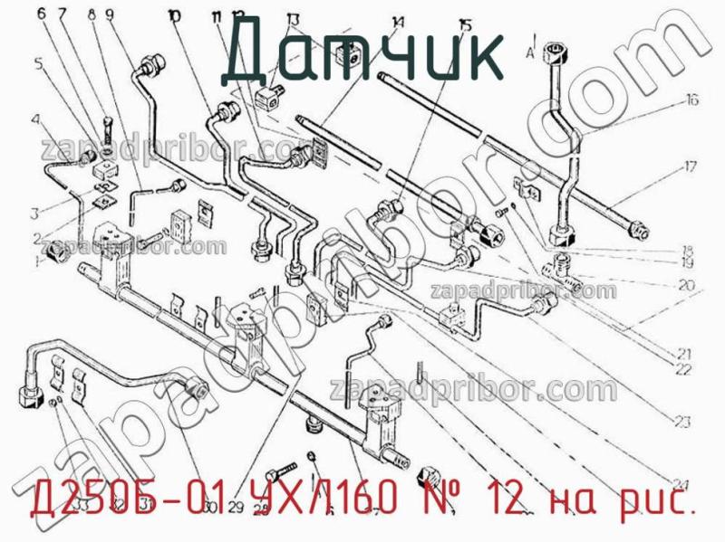 Датчик Д250Б-01 УХЛ160 фотография.