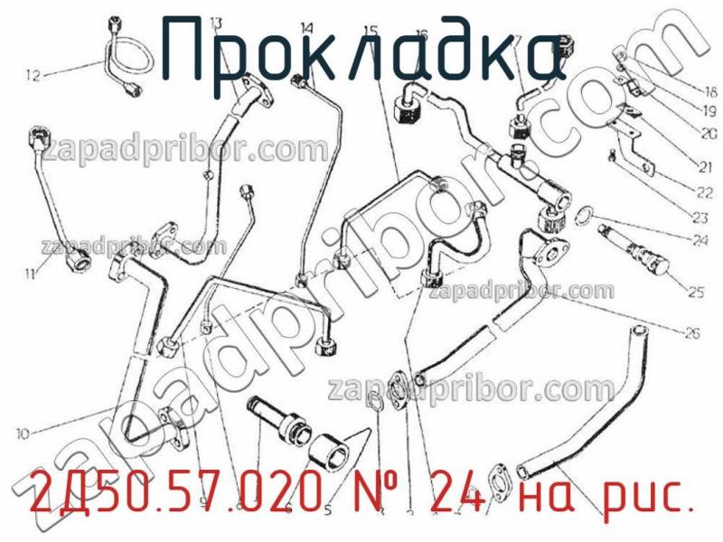 Прокладка 2Д50.57.020 фотография.