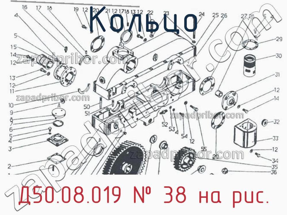 Д50.08.019 - Кольцо - фотография. Увеличить. Д50.08.019 - Кольцо - фотография.