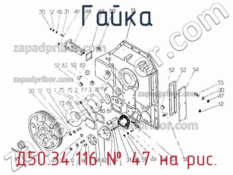 Гайка Д50.34.116 фотография.