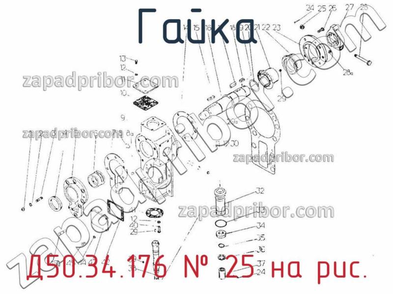 Гайка Д50.34.176 фотография.