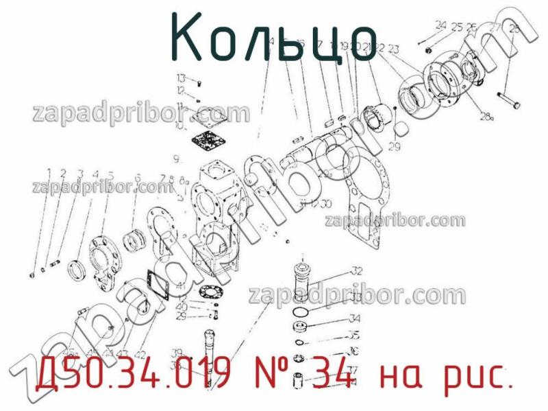 Кольцо Д50.34.019 фотография.