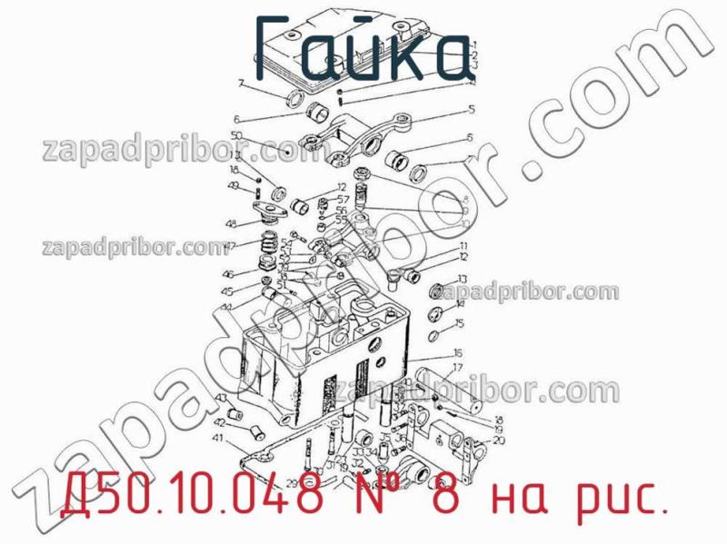 Гайка Д50.10.048 фотография.