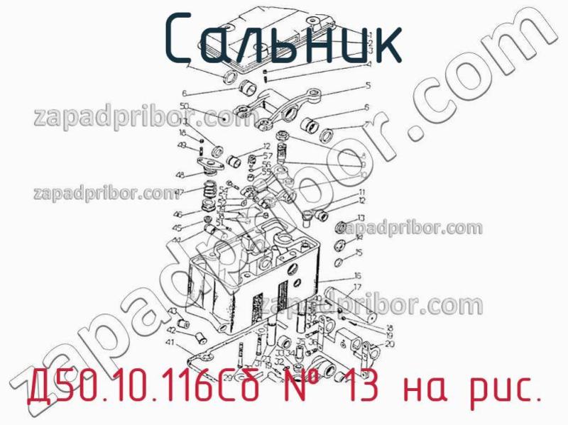 Сальник Д50.10.116Сб фотография.