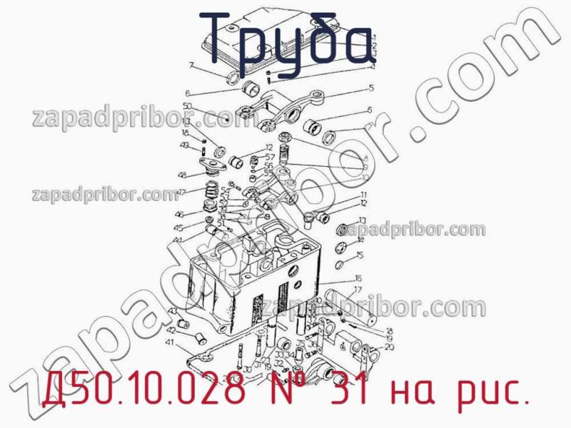 Труба Д50.10.028 фотография.