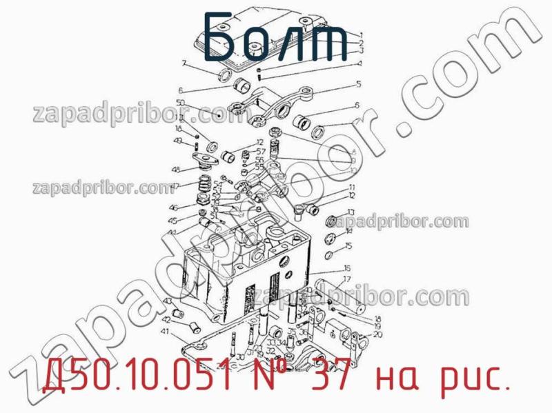 Болт Д50.10.051 фотография.