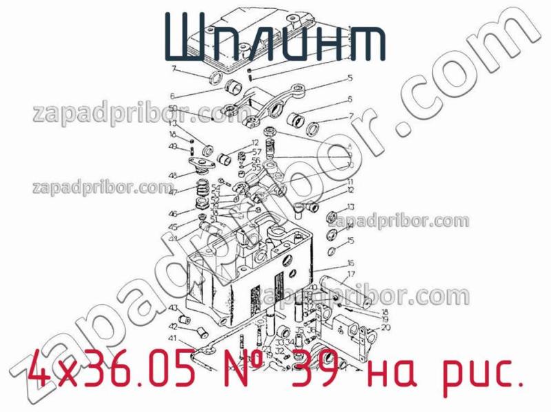 Шплинт 4х36.05 фотография.