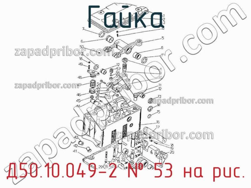 Гайка Д50.10.049-2 фотография.