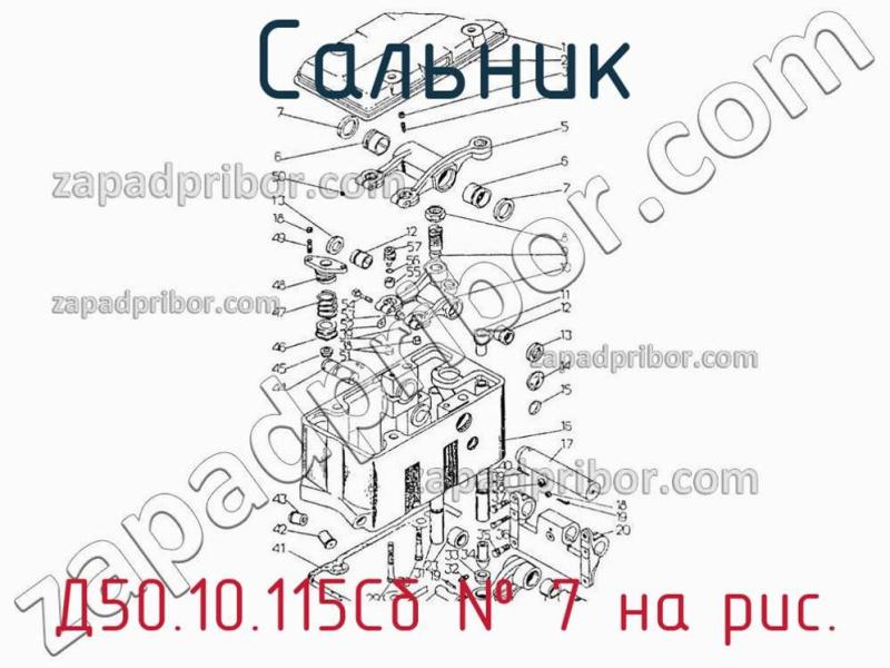 Сальник Д50.10.115Сб фотография.