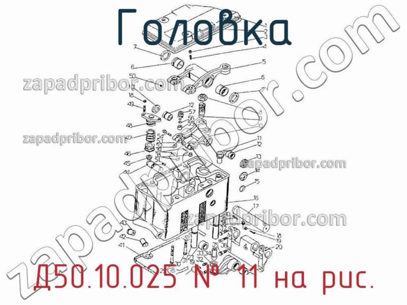 Головка Д50.10.025 фотография.