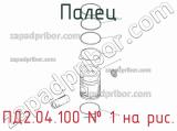 ПД2.04.100