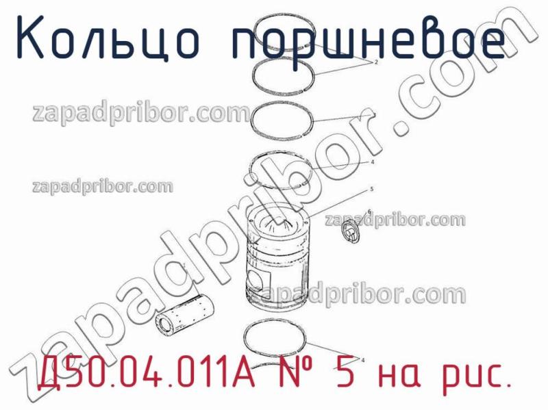 Кольцо поршневое  Д50.04.011А фотография.