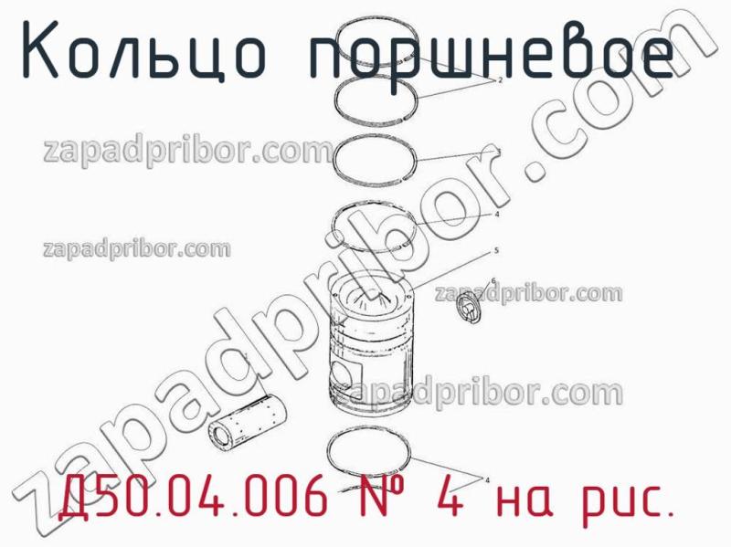 Кольцо поршневое  Д50.04.006 фотография.