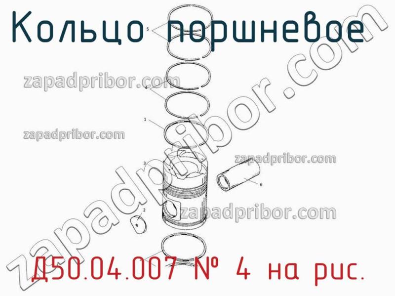 Кольцо поршневое  Д50.04.007 фотография.