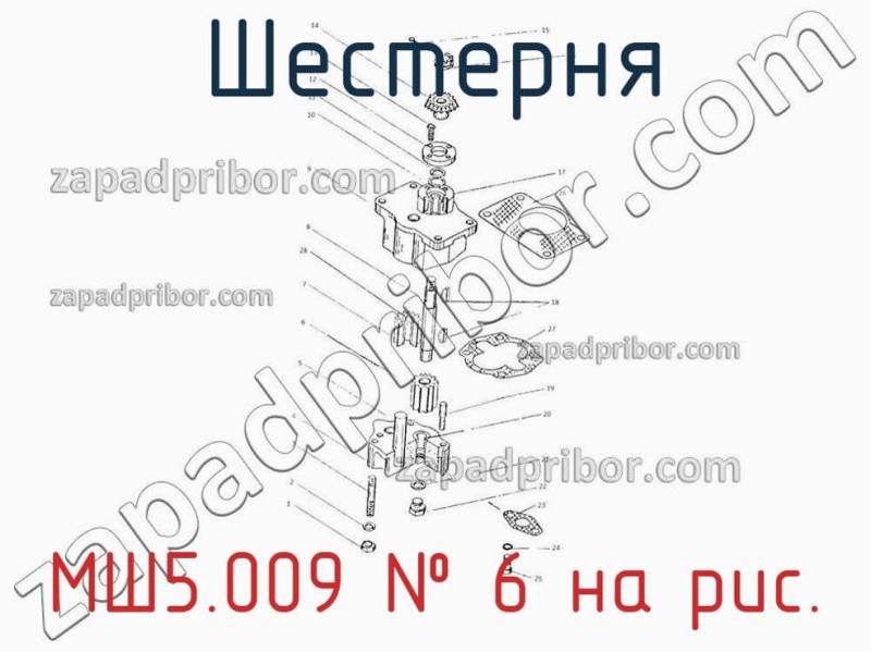 Шестерня МШ5.009 фотография.