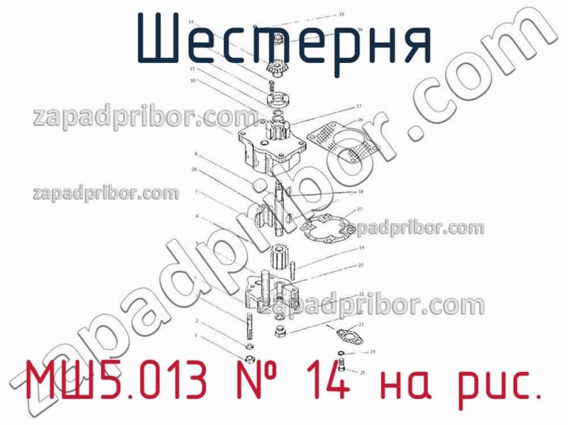 Шестерня МШ5.013 фотография.