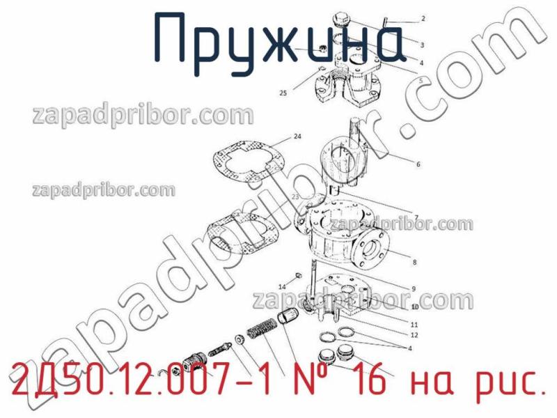 Пружина 2Д50.12.007-1 фотография.