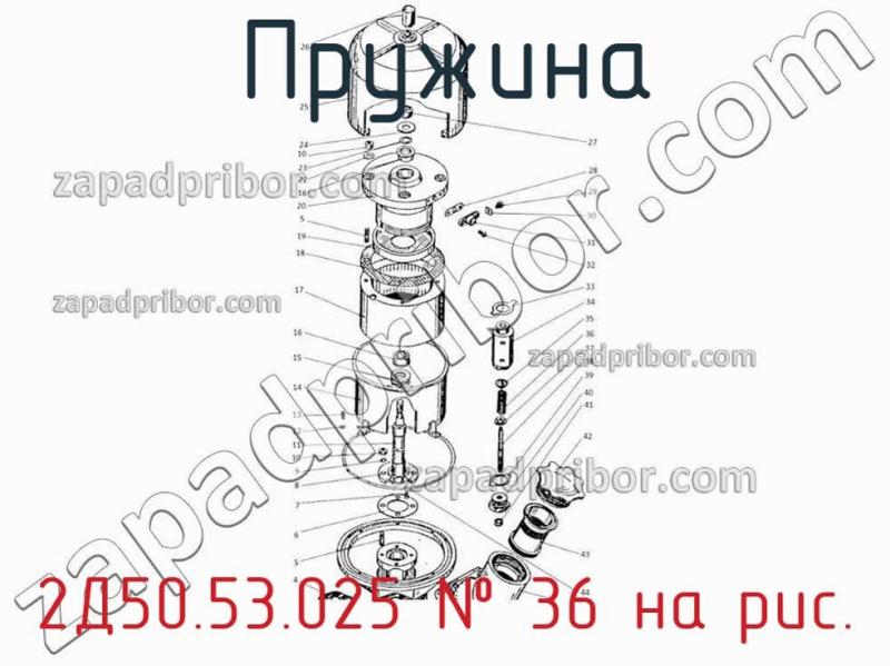 Пружина 2Д50.53.025 фотография.