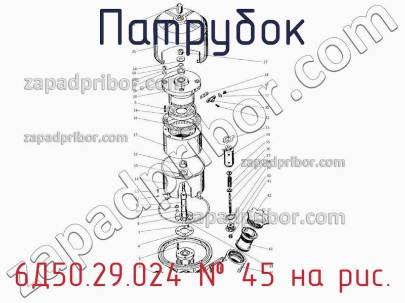 Патрубок 6Д50.29.024 фотография.