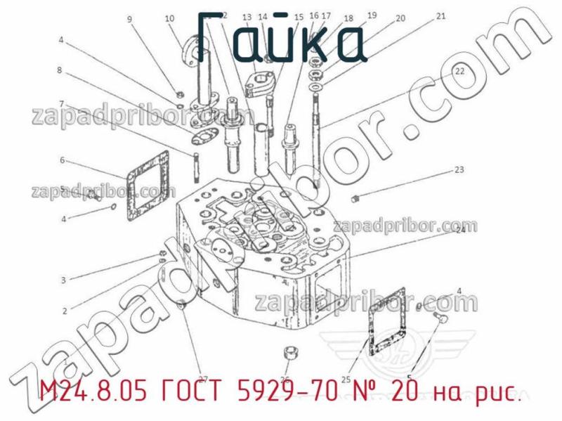 Гайка М24.8.05 ГОСТ 5929-70 фотография.