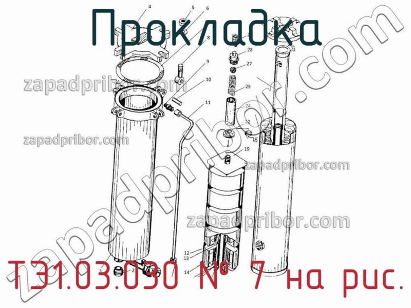 Прокладка ТЭ1.03.030 фотография.