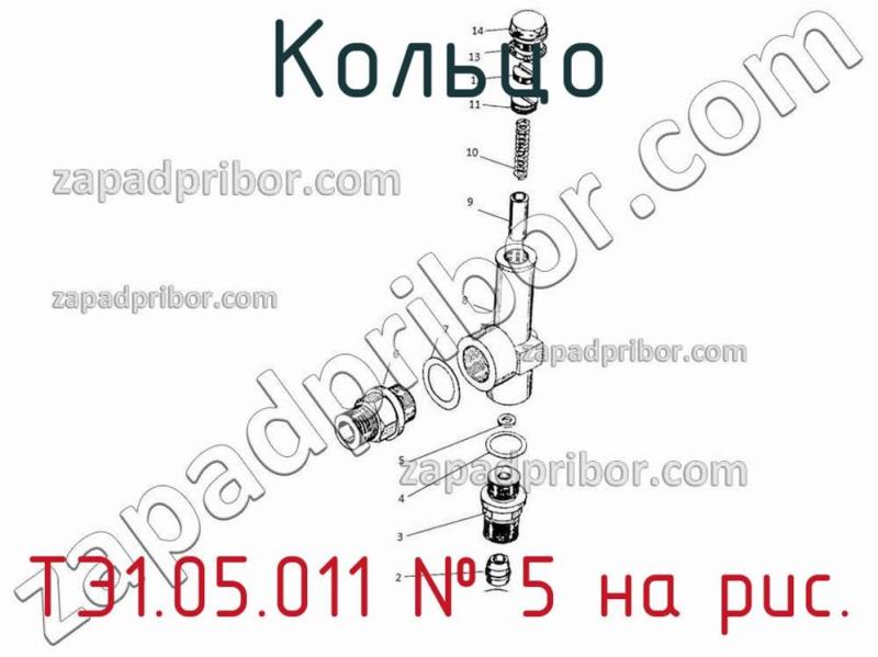 Кольцо ТЭ1.05.011 фотография.
