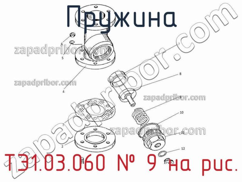 Пружина ТЭ1.03.060 фотография.