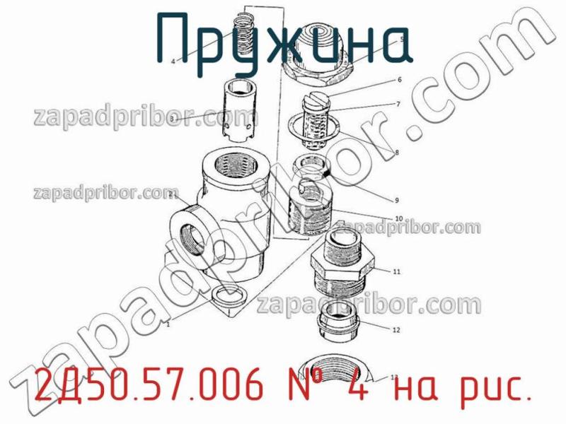 Пружина 2Д50.57.006 фотография.