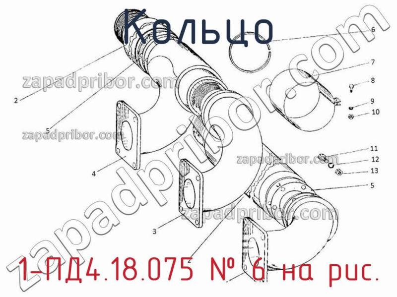 Кольцо 1-ПД4.18.075 фотография.