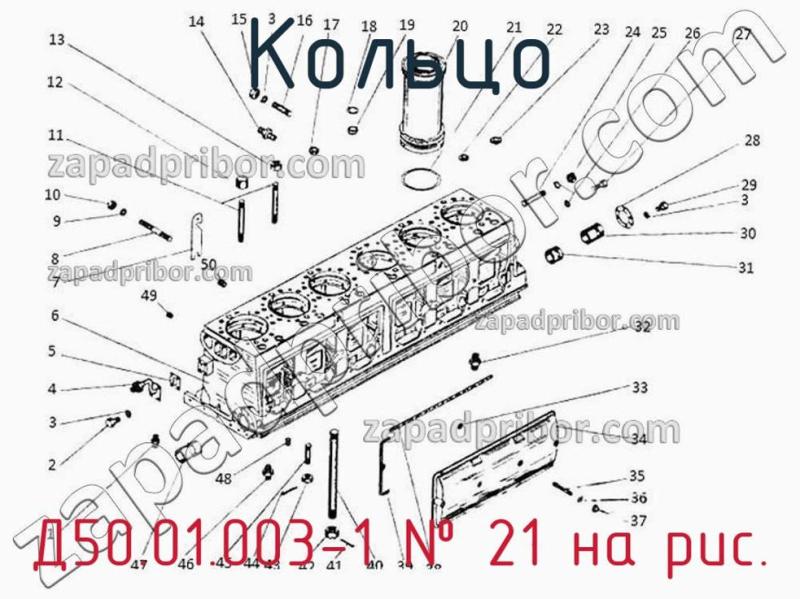 Кольцо Д50.01.003-1 фотография.