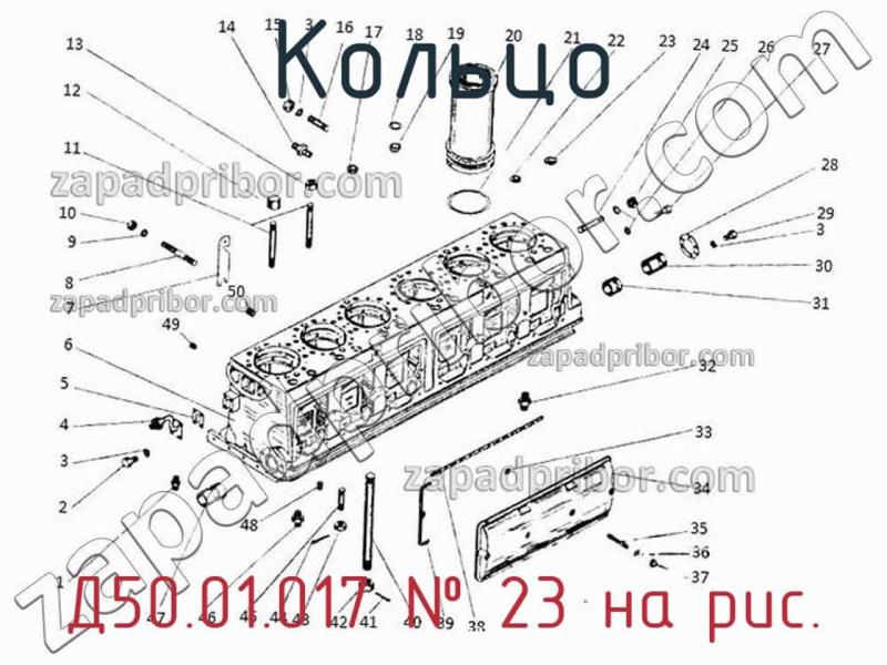 Кольцо Д50.01.017 фотография.