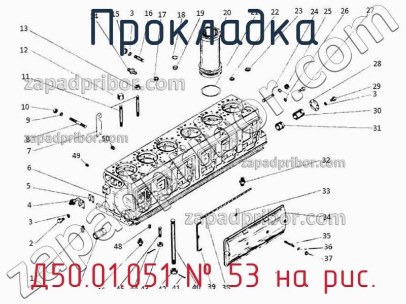 Прокладка Д50.01.051 фотография.