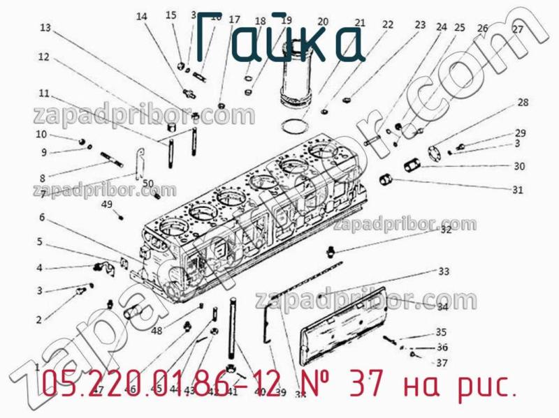 Гайка 05.220.01.86-12 фотография.