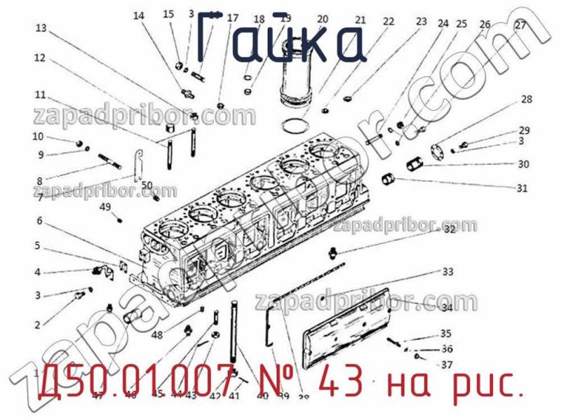 Гайка Д50.01.007 фотография.