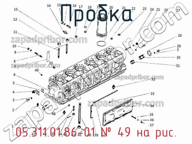 Пробка 05.311.01.86-01 фотография.
