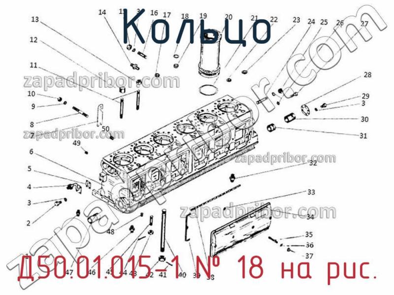 Кольцо Д50.01.015-1 фотография.