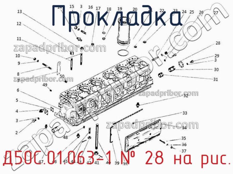 Прокладка Д50С.01.063-1 фотография.