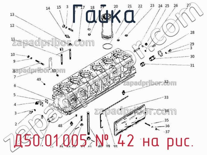 Гайка Д50.01.005 фотография.