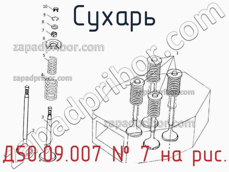 Сухарь Д50.09.007 фотография.