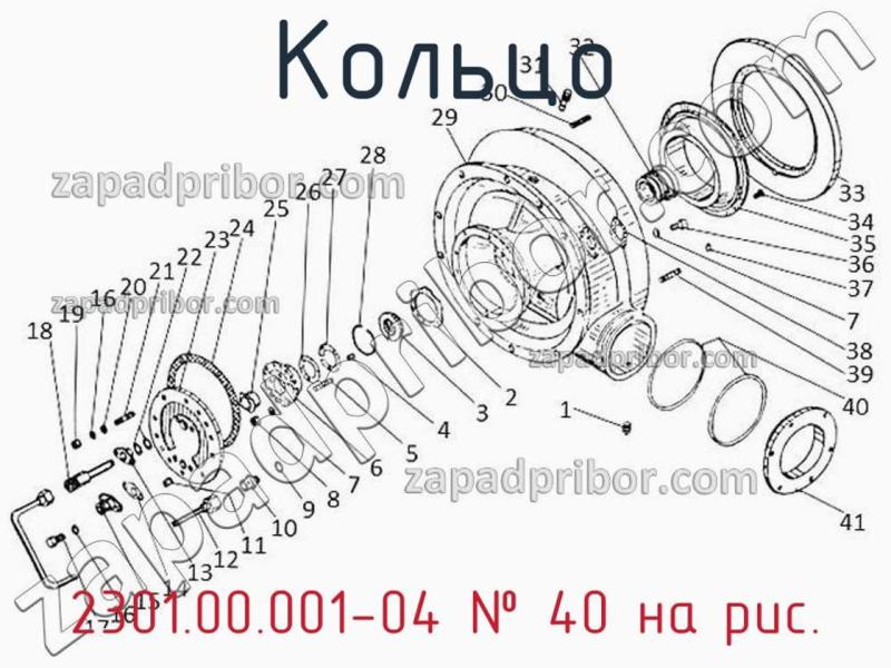 Кольцо 2301.00.001-04 фотография.