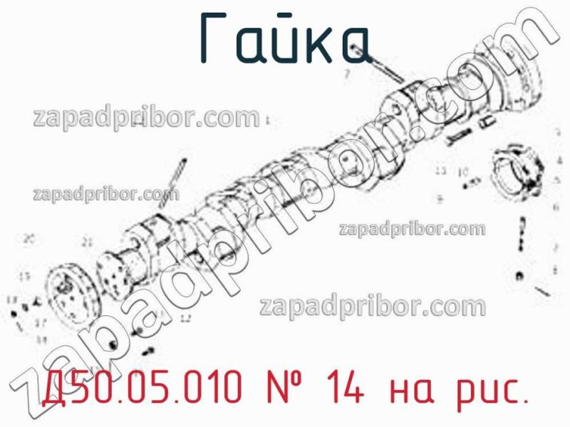 Гайка Д50.05.010 фотография.