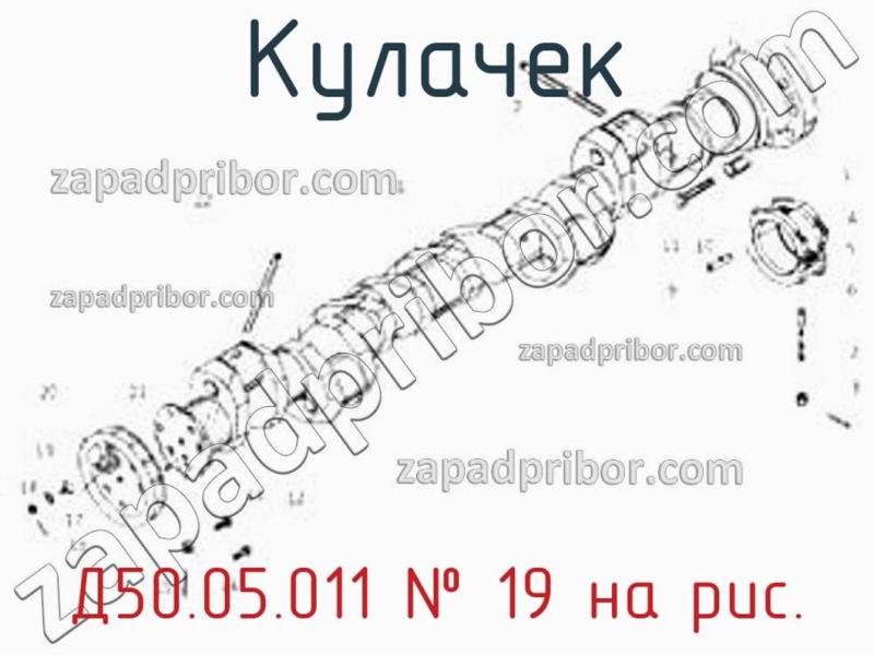 Кулачек Д50.05.011 фотография.