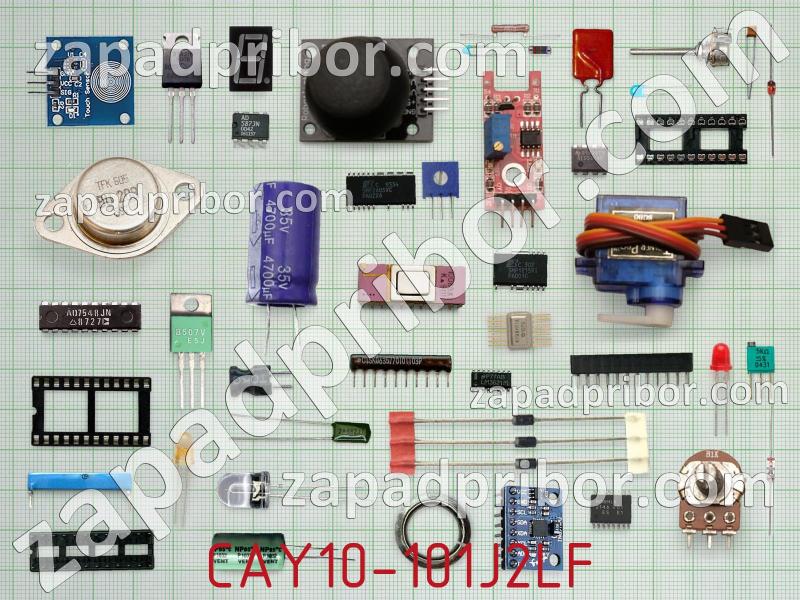 Резисторная сборка  CAY10-101J2LF фотография.