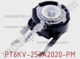 PT6KV-253A2020-PM