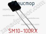 Резистор SM10-100RX 