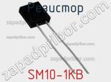Резистор SM10-1KB 