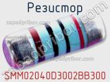 Резистор SMM02040D3002BB300 