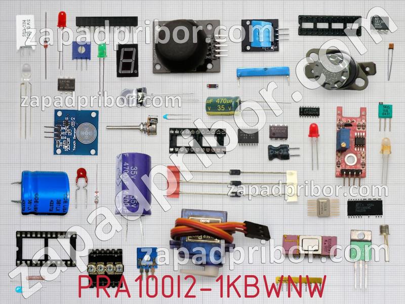 Резисторная сборка  PRA100I2-1KBWNW фотография.