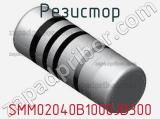 Резистор SMM02040B1000JB300 